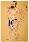 About Shiatsu. meridian
